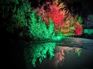 After Dark Scream Park Review ()