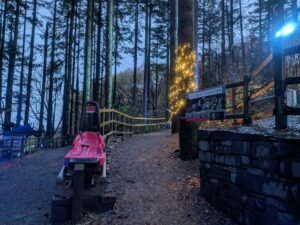 Zip World Festive Forest Review ()