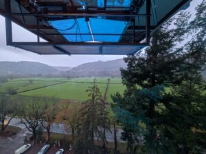Zip World Festive Forest Review ()
