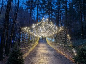 Zip World Festive Forest Review ()