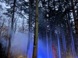 Zip World Festive Forest Review ()