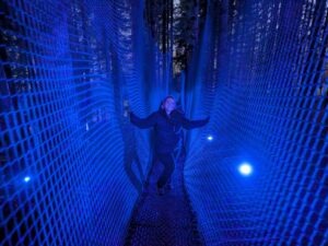 Zip World Festive Forest Review ()