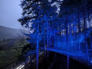 Zip World Festive Forest Review ()
