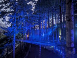 Zip World Festive Forest Review ()