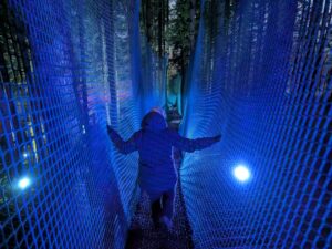Zip World Festive Forest Review ()