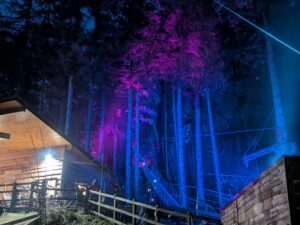 Zip World Festive Forest Review ()