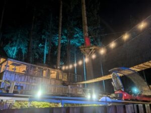 Zip World Festive Forest Review ()