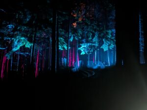 Zip World Festive Forest Review ()