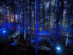 Zip World Festive Forest Review ()