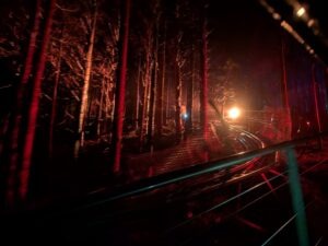 Zip World Festive Forest Review ()