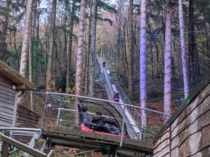 Zip World Festive Forest Review ()