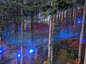 Zip World Festive Forest Review ()