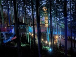 Zip World Festive Forest Review ()