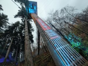 Zip World Festive Forest Review ()