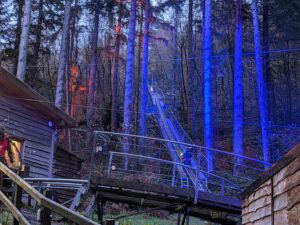 Zip World Festive Forest Review ()