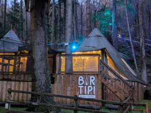 Zip World Festive Forest Review ()