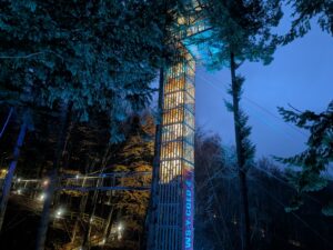 Zip World Festive Forest Review ()