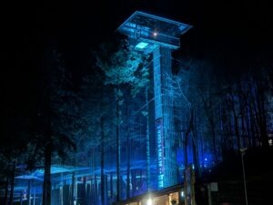 Zip World Festive Forest Review ()