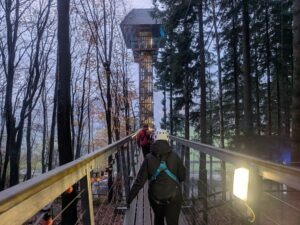 Zip World Festive Forest Review ()