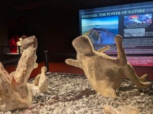 Pompeii The Immersive Exhibition London Review ()