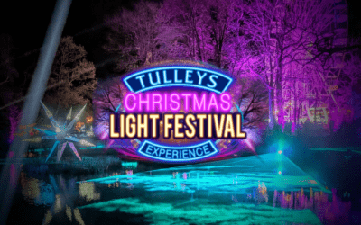 Tulleys Christmas Lights Festival 2025 Review