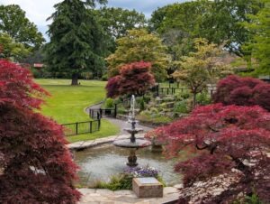 Paultons Park Review ()