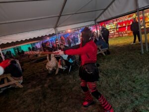 Dr Frights Halloween Nights ()