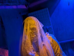 FEAR Island Review ()