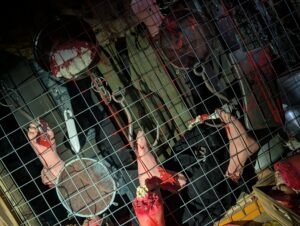 FEAR Island Review ()