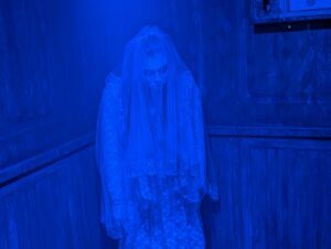 FEAR Island Review ()