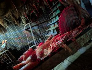 FEAR Island Review ()