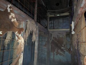FEAR Island Review ()