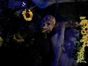 Fear Island at Fantasy Island ()
