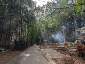 Frightwater Valley Review ()