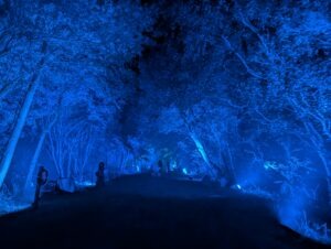 Goostrey Graveyards Review ()