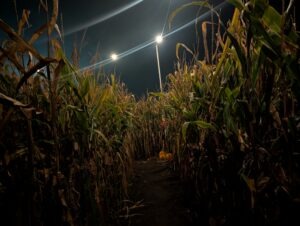 Goostrey Graveyards Review ()