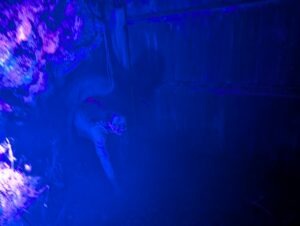 Goostrey Graveyards Review ()