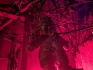 Goostrey Graveyards Review ()