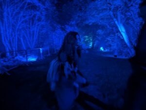 Goostrey Graveyards Review ()