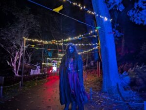PrimEvil Review ()
