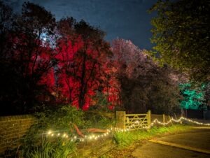 Scaresville Review ()