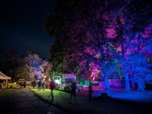 Scaresville Review ()