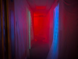 Spore by Colab Theatre Review ()