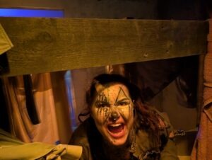 The Howl Review ()