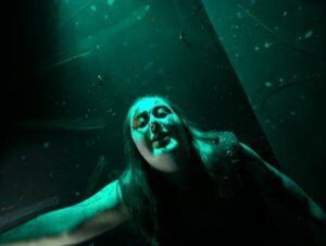 The Howl Review ()
