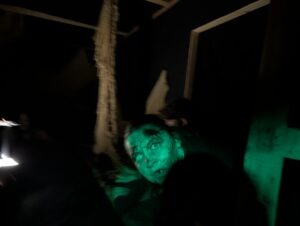 The Howl Review ()