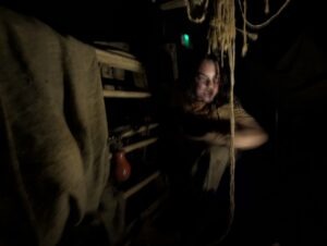 The Howl Review ()