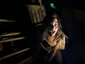 The Howl Review ()
