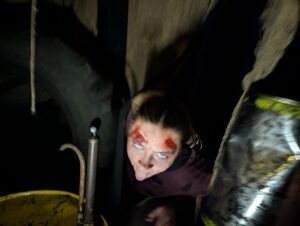 The Howl Review ()