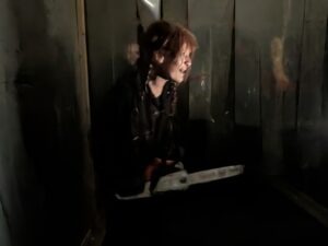 The Howl Review ()